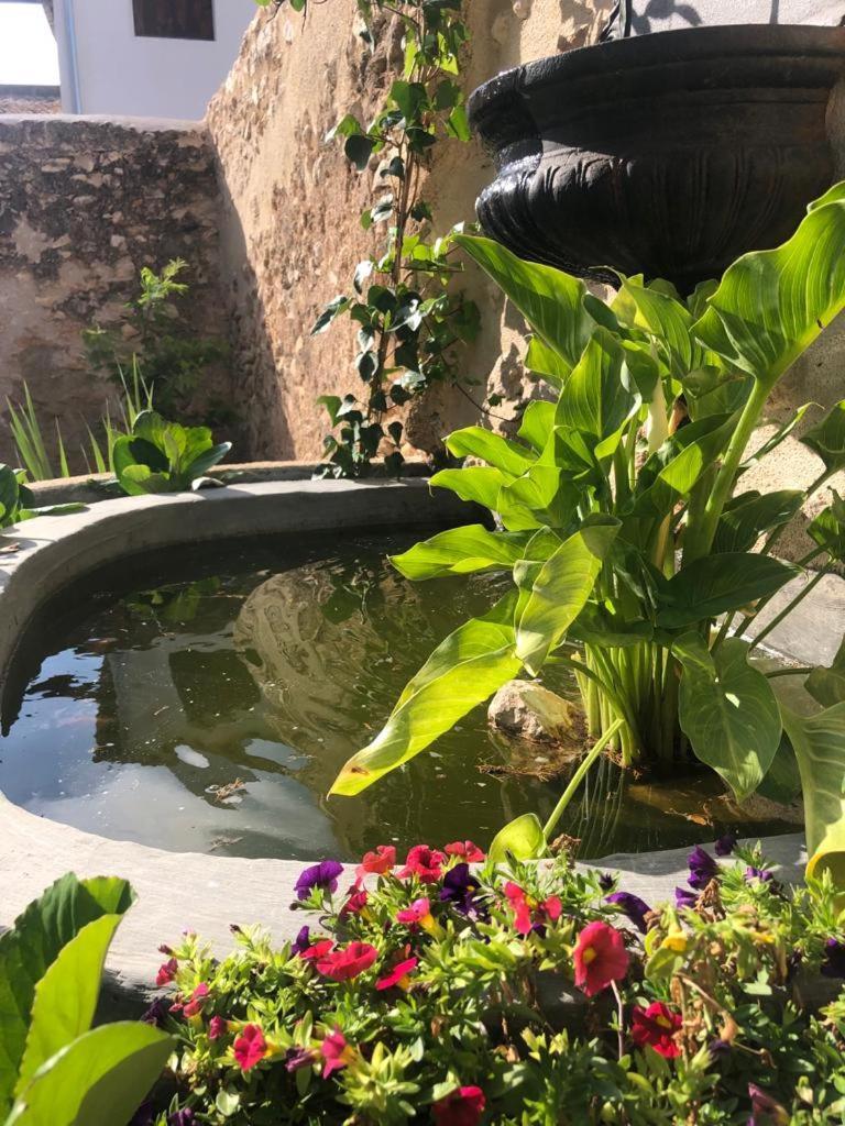 Ca Margalef - Casa Rural Con Encanto Ginestar Exterior foto
